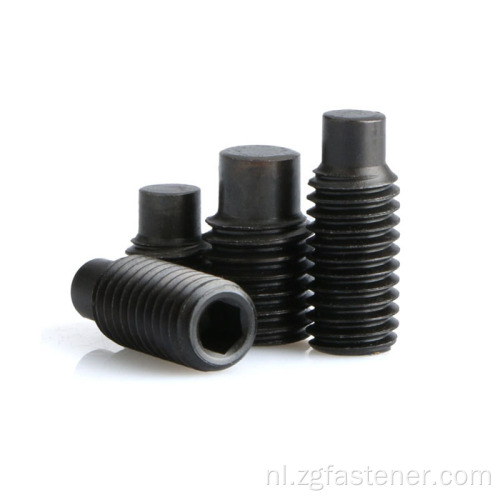 Zwarte oxide hex socket set schroeven met hondenpunt din915